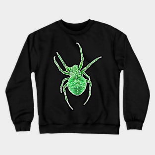 Green Spider Orb-Weaver Watercolor Style Crewneck Sweatshirt